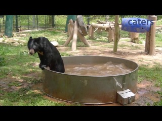 свежее видео свежее видео